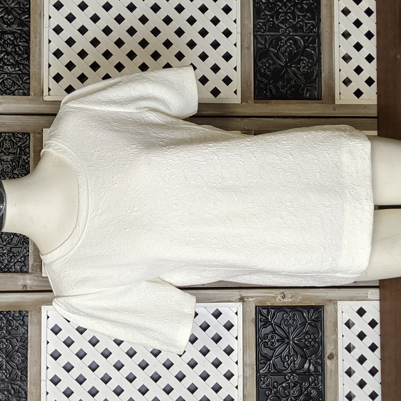 LOFT Tops - Women’s Loft Blouse